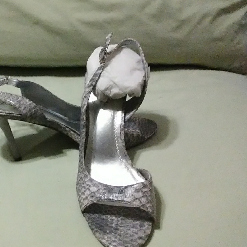 Grey python - Picture 4 of 4